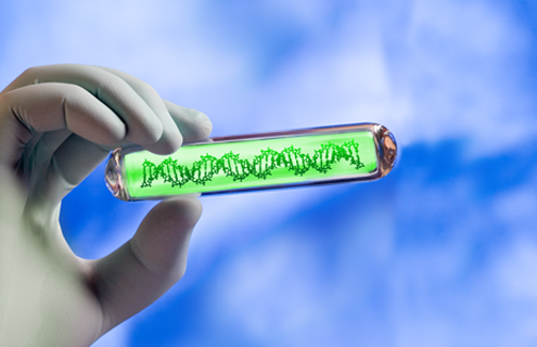 Diagnostic Lab in Chennai