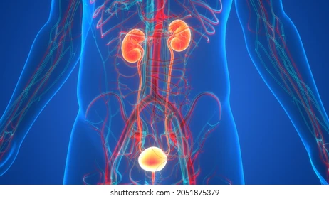 Diagnostic Lab in Chennai